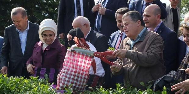 Yargıtay'da başkanlık seçimi yapılacak