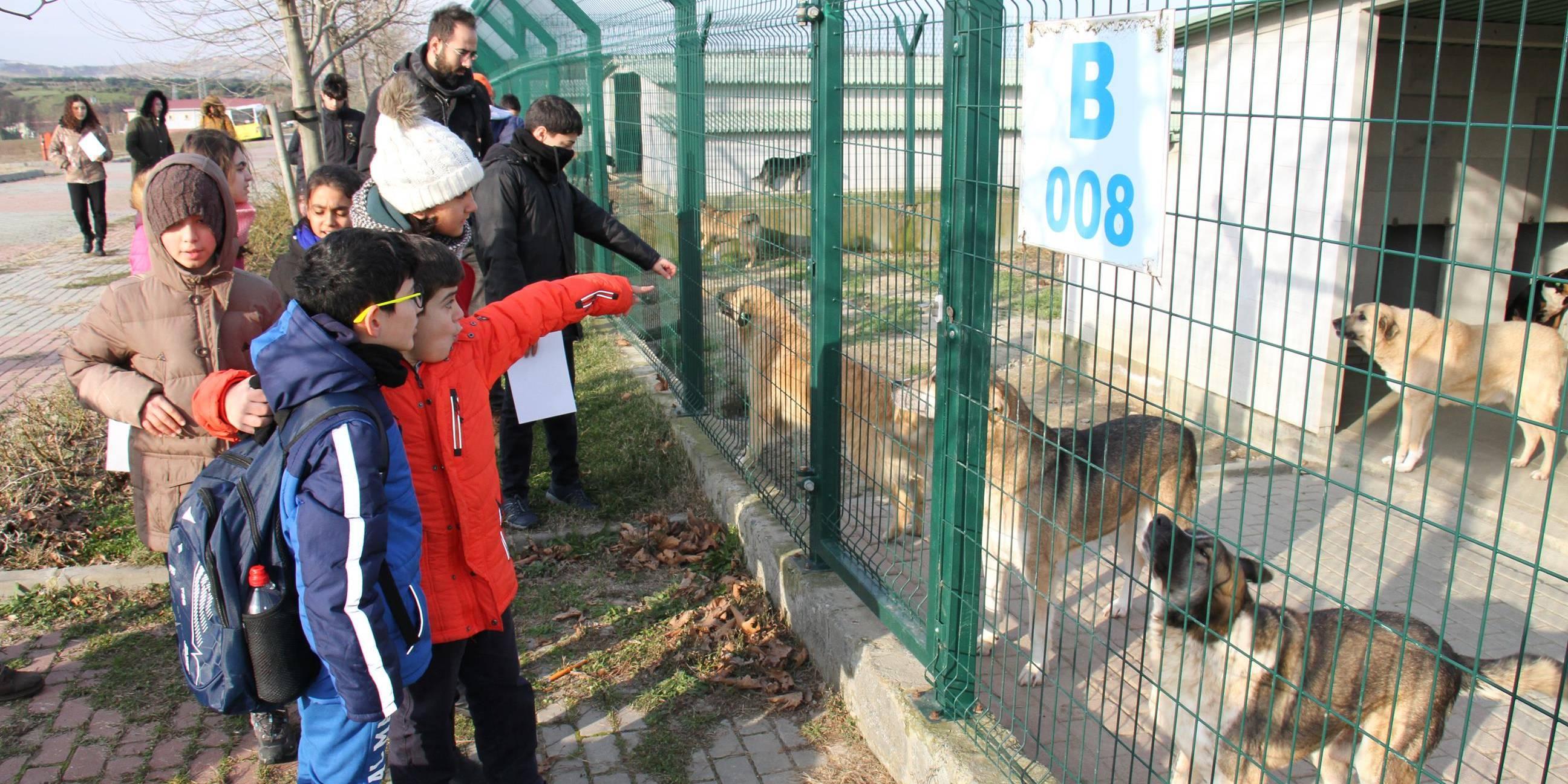 Korkusuz yazarı: Sokak kedilerini köpeklerini doyurmak bile aşırı zamlandı!