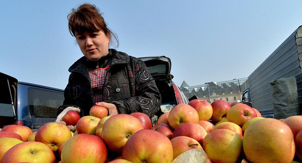 Türkiye'den giden 19 ton elmanın Rusya'ya girişine izin verilmedi