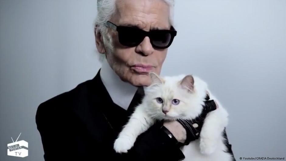 Lagerfeld'in 200 milyar dolarlık serveti kedisine mi kalacak?