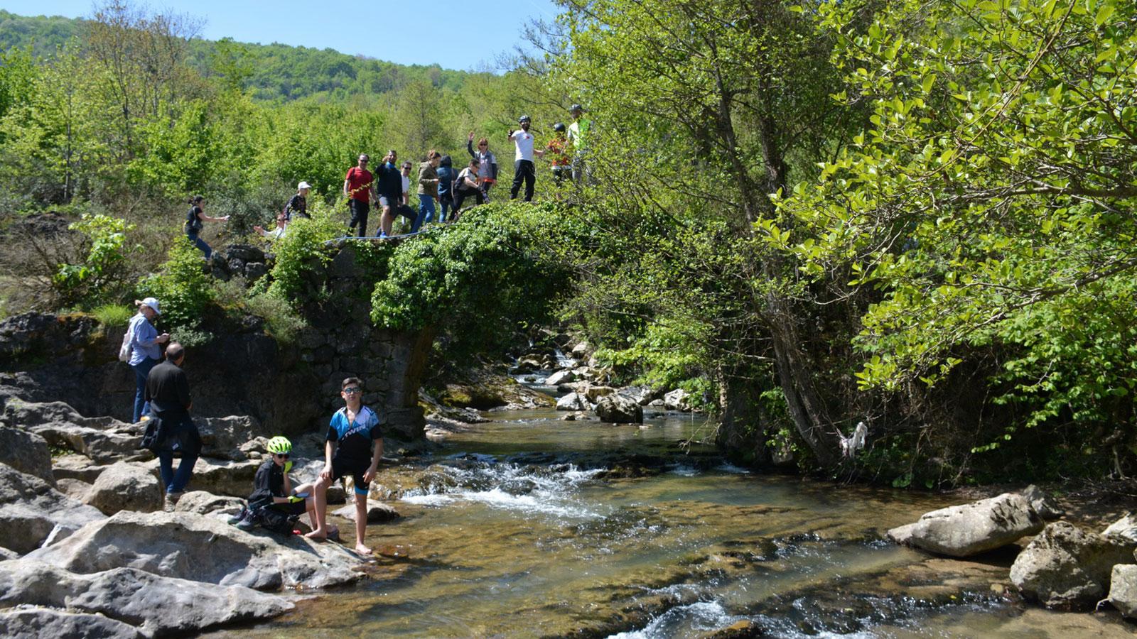 Proje iptal edildi; 3 bin 133 ağaç kesilmekten kurtuldu