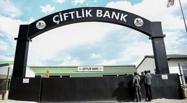 Çiftlik Bank davasında ikinci gün: Yöneticiler hakkında 75 bin 260'ar yıla kadar hapis cezası istenmişti