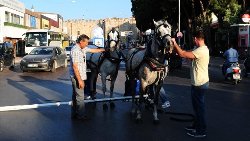 Kuşadası'nda fayton faaliyetlerine son verildi