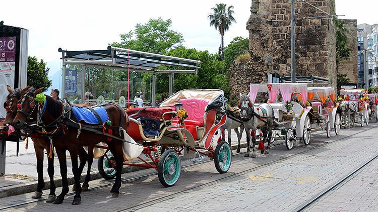 Antalya'da fayton uygulaması kalkıyor 