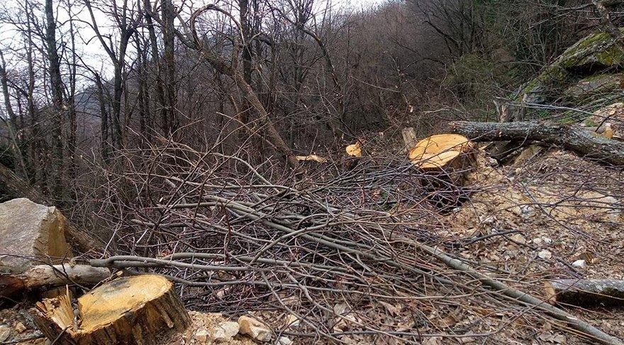 Uludağ'da yol genişletme çalışmasında çok sayıda ağaç kesildi