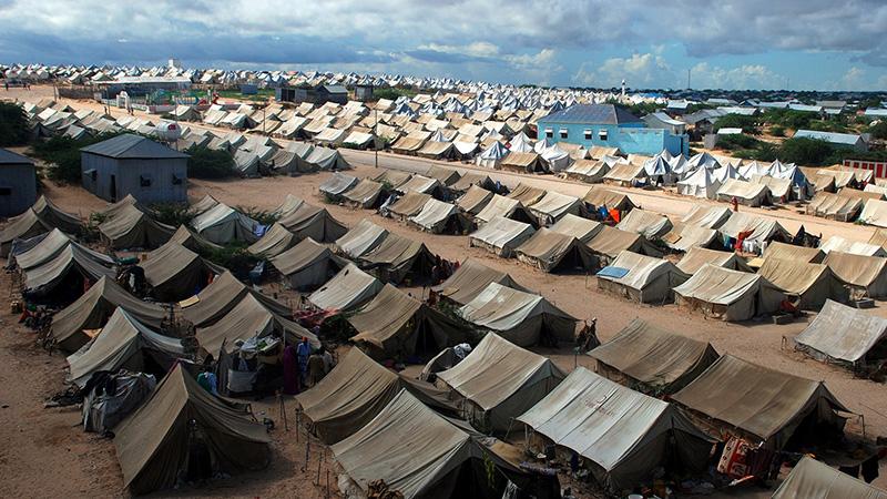 Hollanda'daki mülteci kamplarında kalan 1600 çocuğun son 4,5 yıl içerisinde kaybolduğu iddia edildi