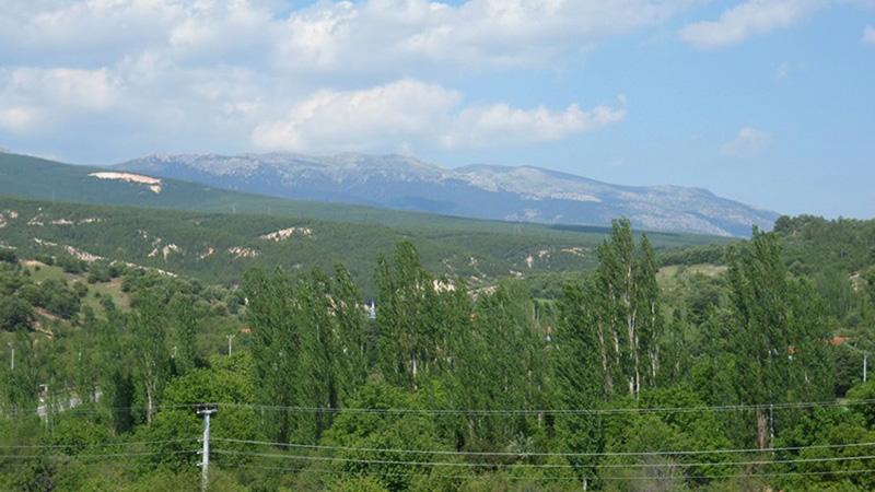 1. derece deprem bölgesinde yer alan Gediz Havzası'na altın madeni izni: 2 milyon ağaç kesilecek, içme ve yer altı suları yok olacak