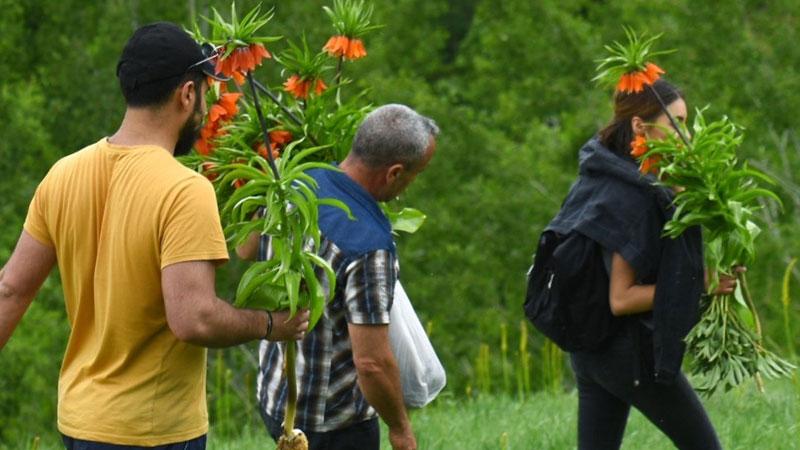 Ters laleleri koparıp götüren 3 kişiye 180 bin TL para cezası 