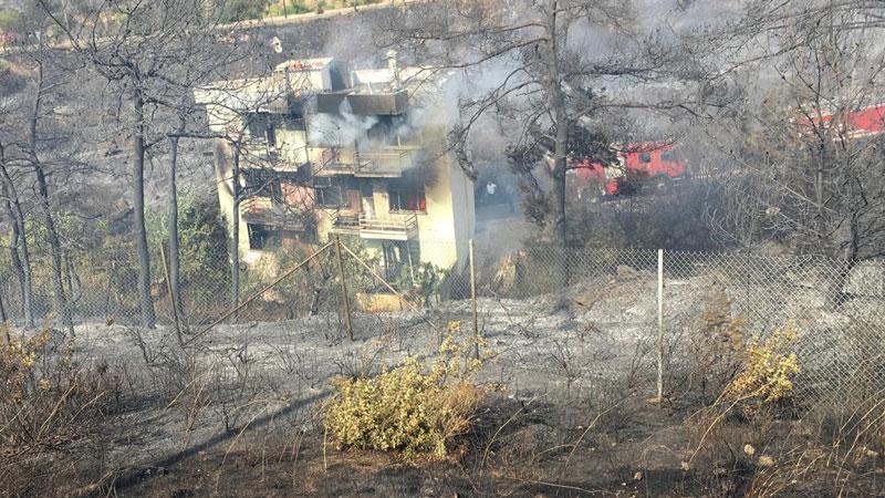 İzmir'de zeytinlik alanda başlayan yangın 2 eve sıçradı