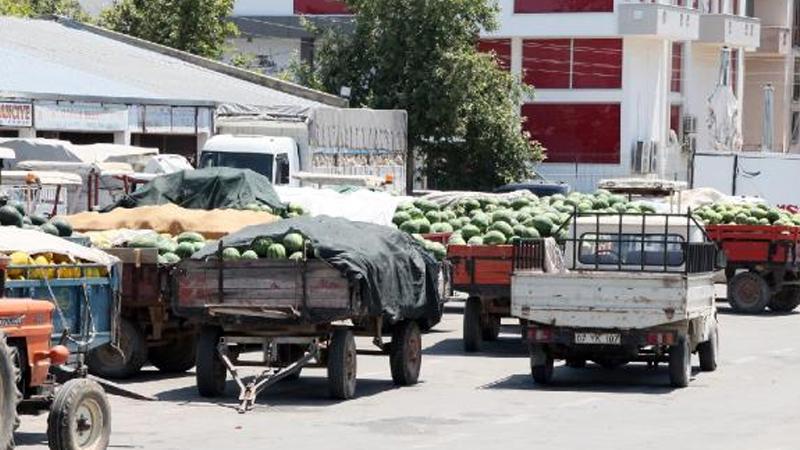 Antalya'da karpuz 30 kuruşa alıcı bulamıyor