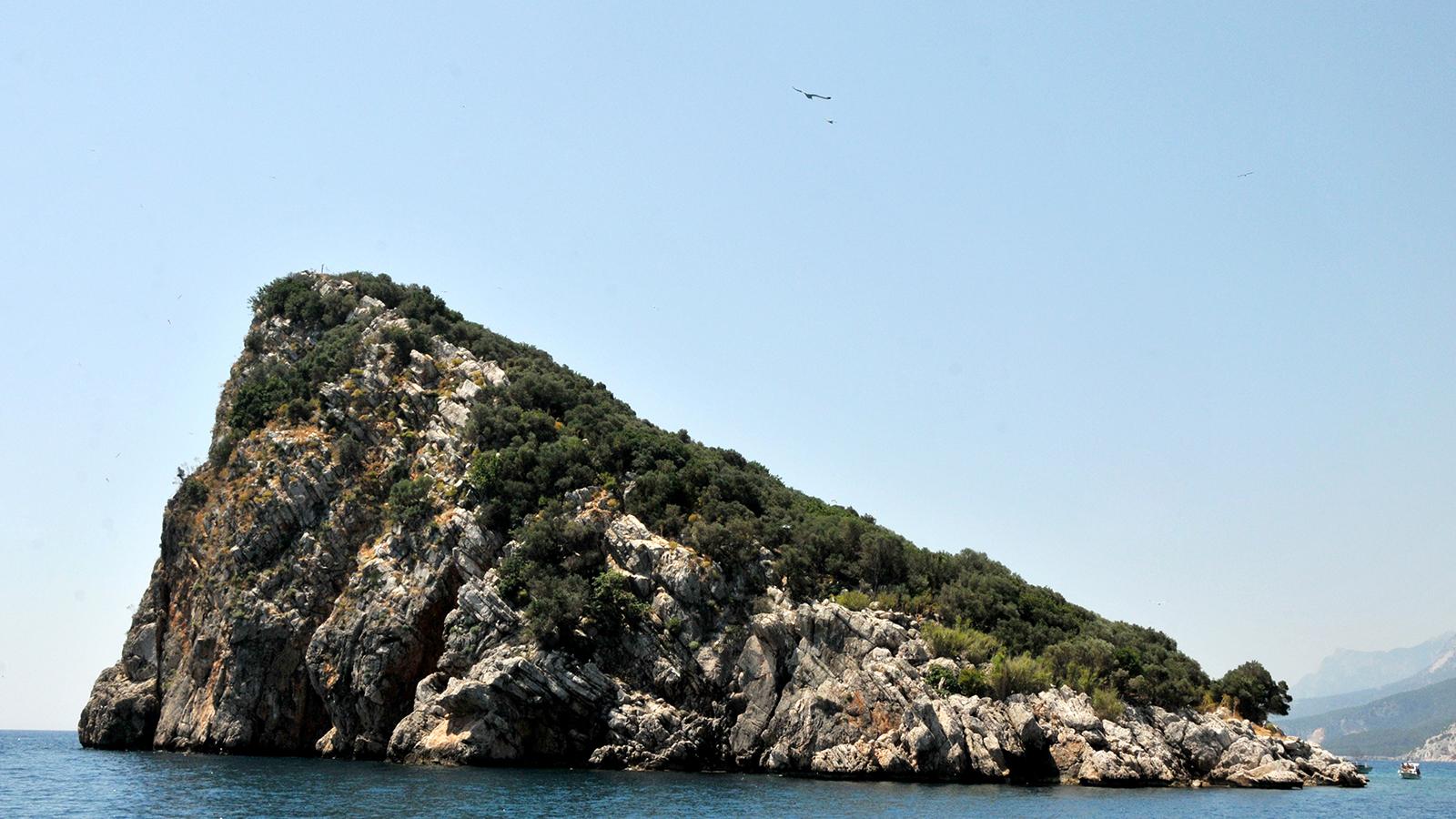 "Sıçan Adası, Martı Adası olsun" talebi