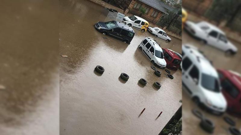 Ordu ve Giresun'da sağanak yağış: Dereler taştı, ev ve iş yerlerini su bastı