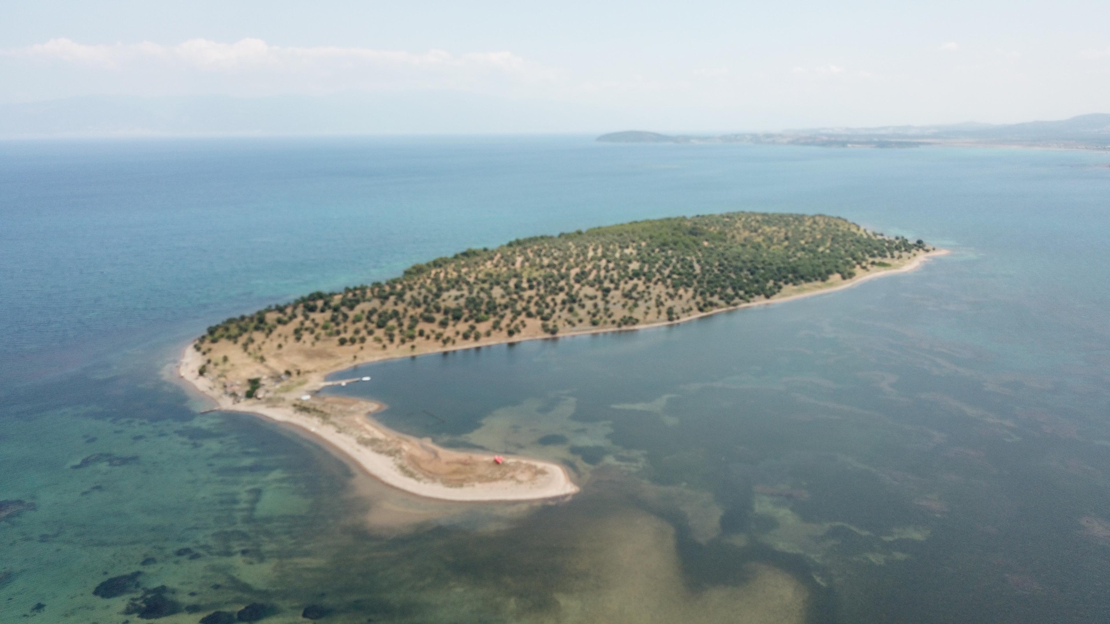 Çiçek Adası 105 milyon liraya satışa çıkarıldı; adaya Katarlı yatırımcılar ilgi gösteriyor