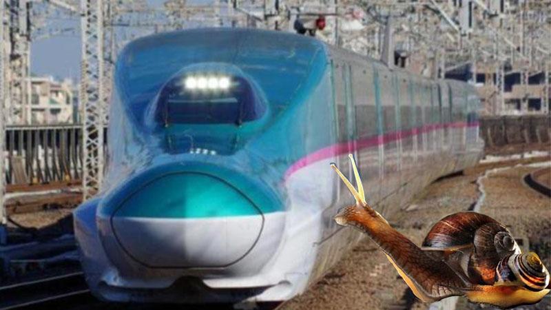 Japonya'da tren kaosunun nedeni bulundu: Sümüklü böcek