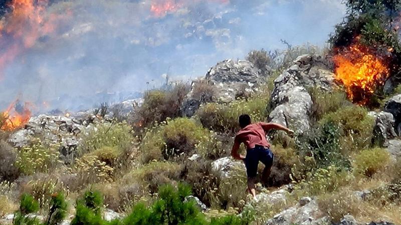 Balıkesir'de orman yangını