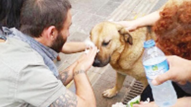 Taksim’in 'Eylem'i hayatını kaybetti