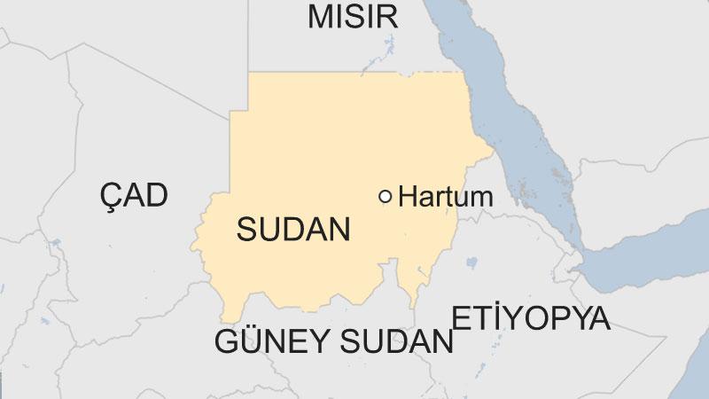 Sudan'da yolcu uçağı düştü 