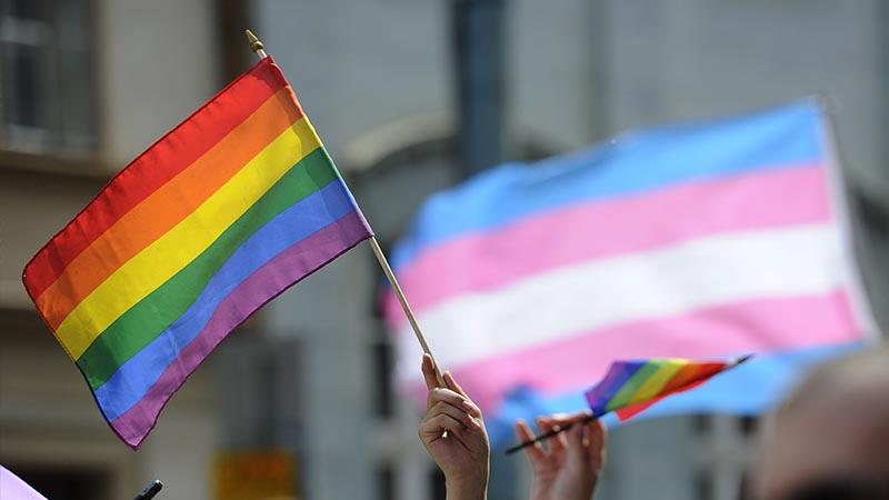 Macaristan'da parlamento, okullarda LGBTİ+ hakkında bilgilendirme yapılmasını yasaklayan yasayı onayladı