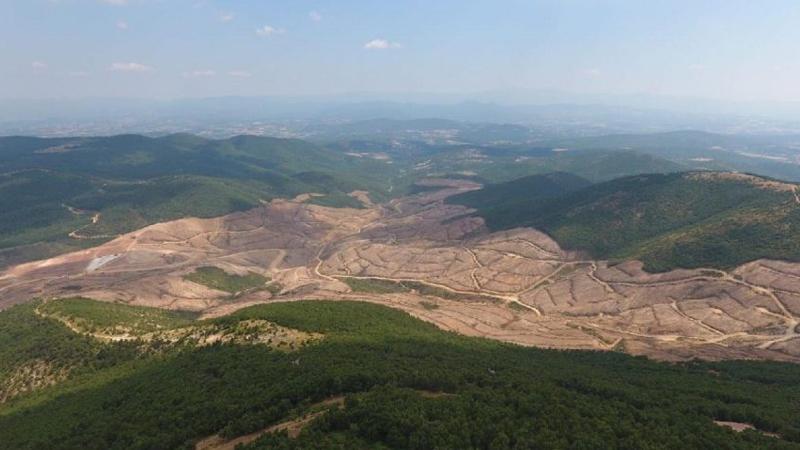 Altın madeni için 195 bin ağaç kesildi, dereler ve içme suyu kullanılamaz halde