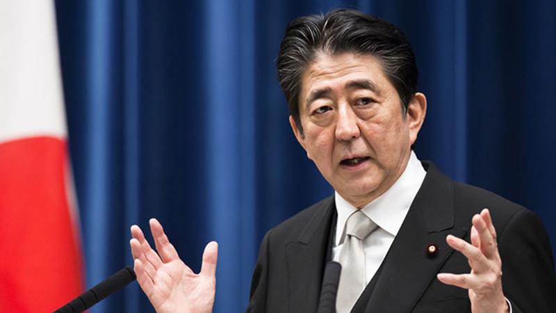 Japonya'da Senato seçimlerinin kazananı, Başbakan Abe'nin partisi oldu