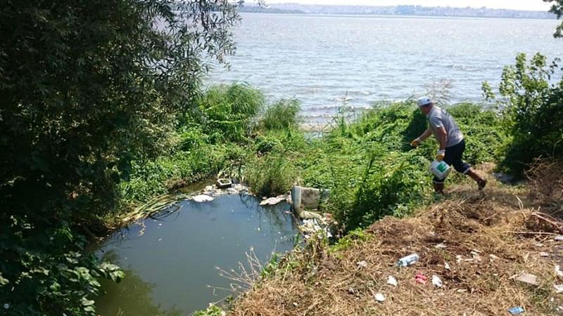 İstanbul'da "Batı Nil Virüsü" alarmı; İBB çalışma başlattı