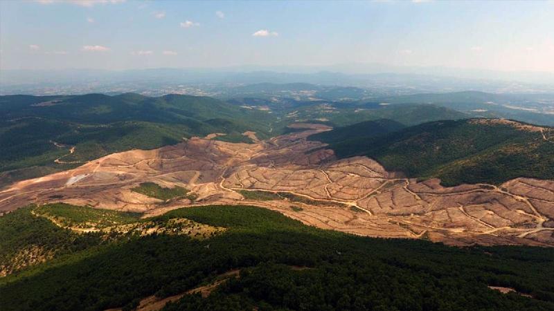 Altın madeni için Kazdağları’nda ağaç katliamı yapan maden şirketine teşvik belgesi verilmiş