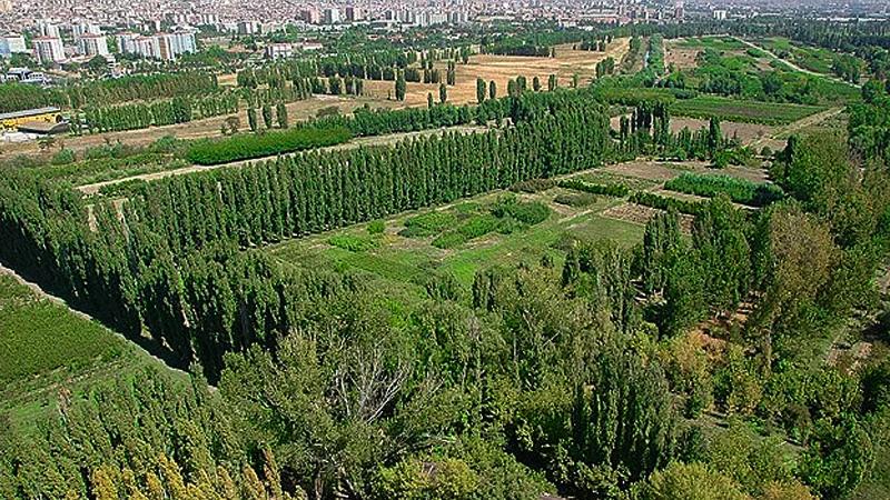 Çevre ve Şehircilik Bakanı yalanlamıştı, Mimarlar Odası'ndan açıklama geldi: Bakan doğru söylemiyor, Medipol'e tahsis edilen alan AOÇ alanıdır