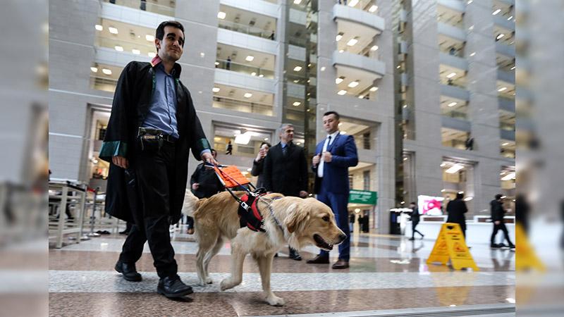 Görme engelli avukat Twitter’da gündeme getirdi, o restoranlar artık rehber köpeklere açık