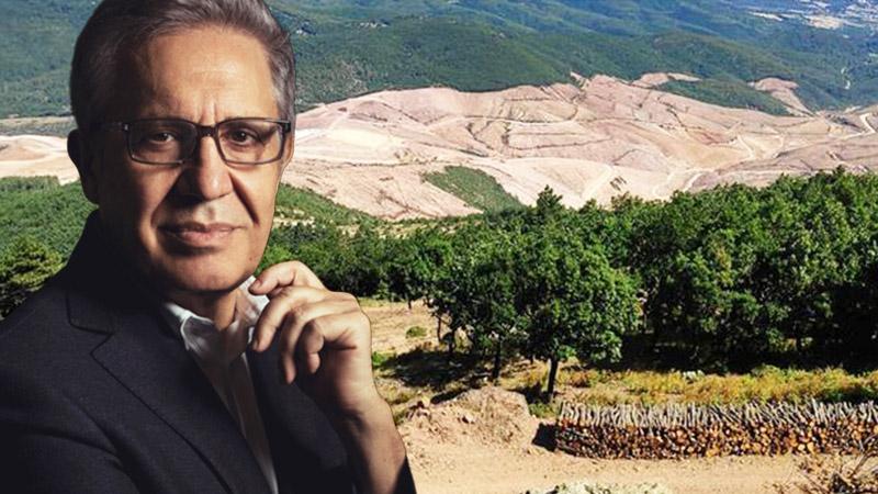 Zülfü Livaneli’den Kazdağları için Unesco’ya açık mektup