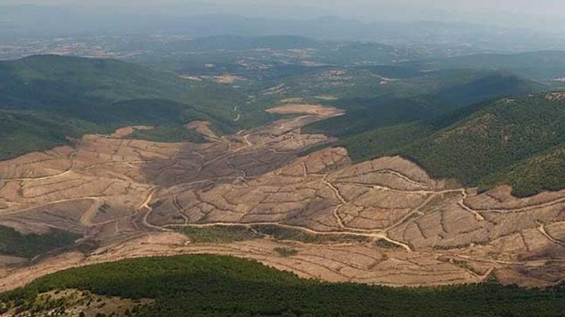 Kaz Dağları'nda altın madeni davası | Bilirkişi raporunda 'imza uyuşmazlığı' iddiası 