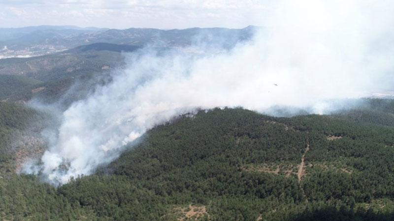 Bursa'da 9 noktada başlayan yangın söndürüldü