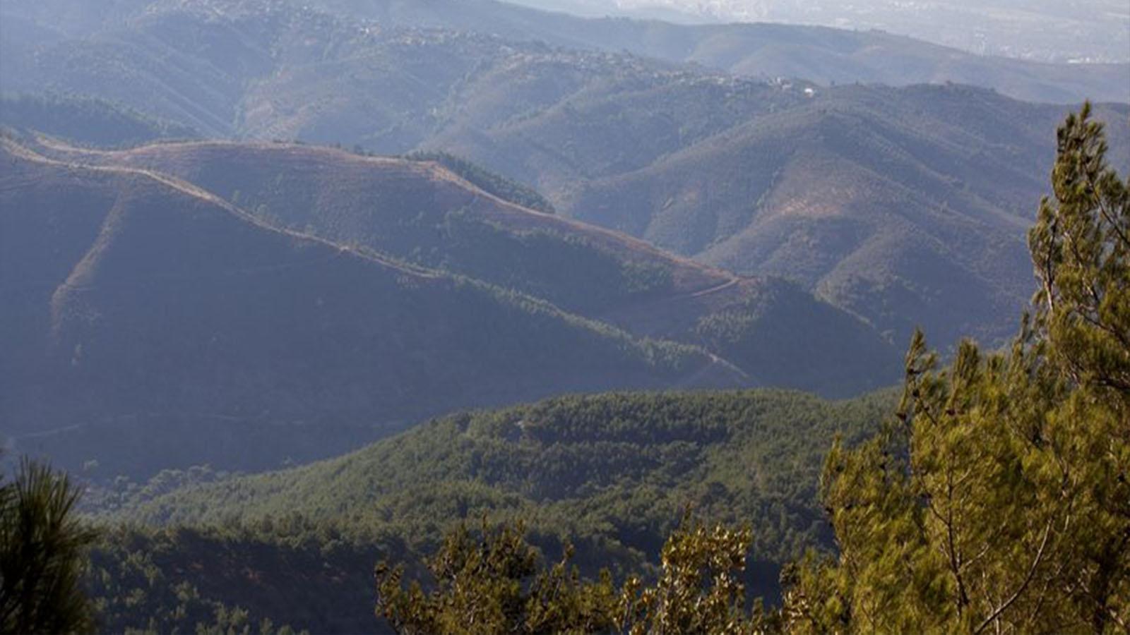 Kaz Dağları’na destek için sahnedeler: Her bilet bir fidan