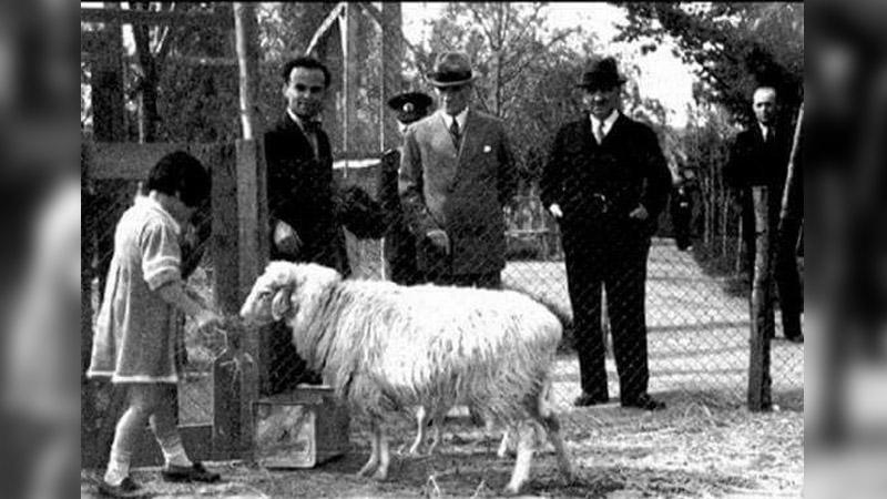 Murat Bardakçı: Atatürk, 1931'de "Gönderilen bayram tebriklerine cevap vermeyeceğini" bildirdi