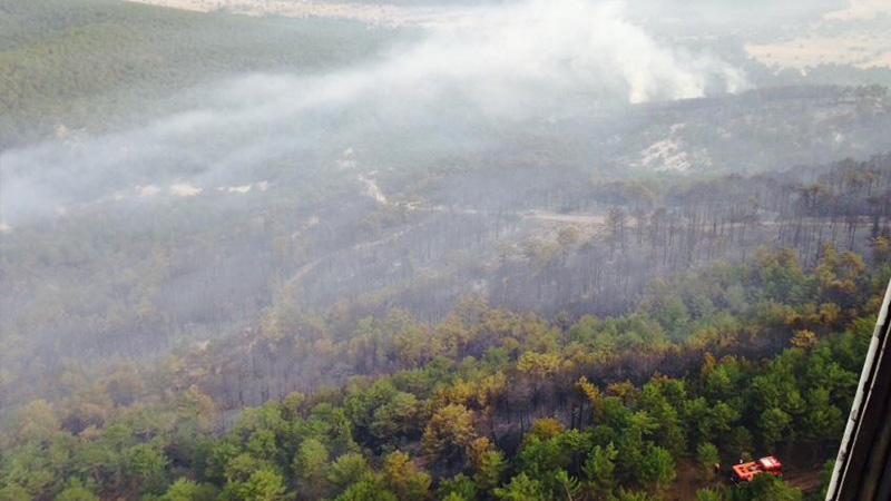 Eskişehir'deki orman yangını 15 saatte kontrol altına alınabildi