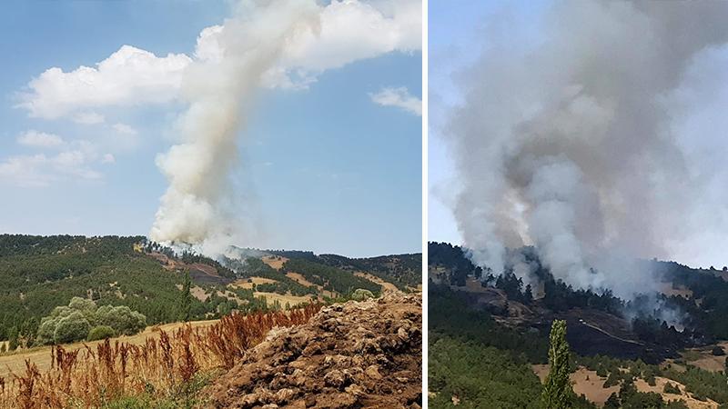 Bir yangın haberi de Yozgat'tan geldi