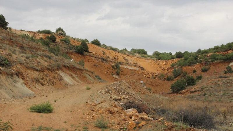 Sırada Eskişehir var, 200 bine yakın ağaç kesilecek