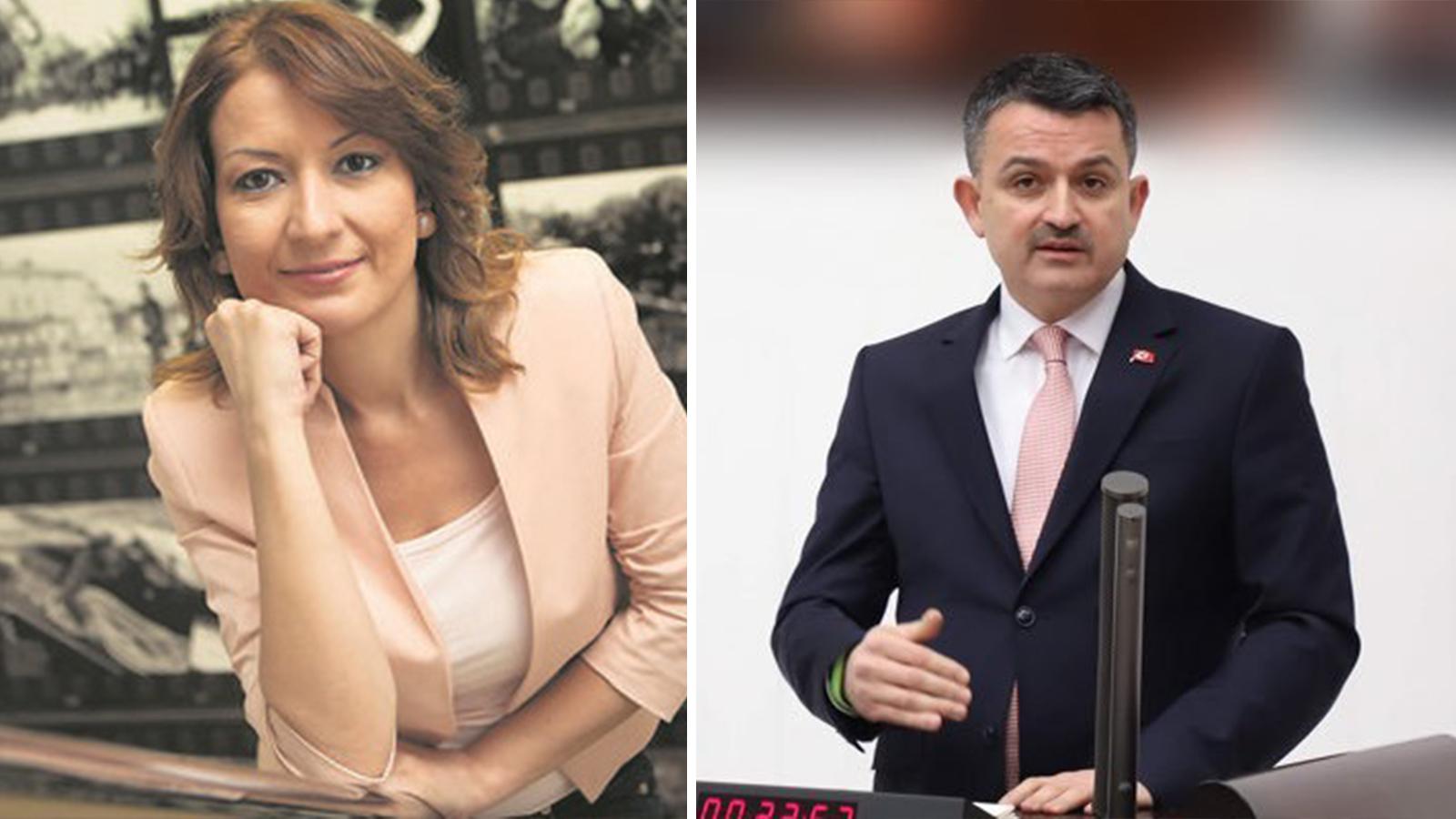 Sabah yazarı Dilek Güngör'den Orman Bakanı Pakdemirli'ye: Görevi yangına müdahale, polemiğe girmesini doğru bulmuyorum