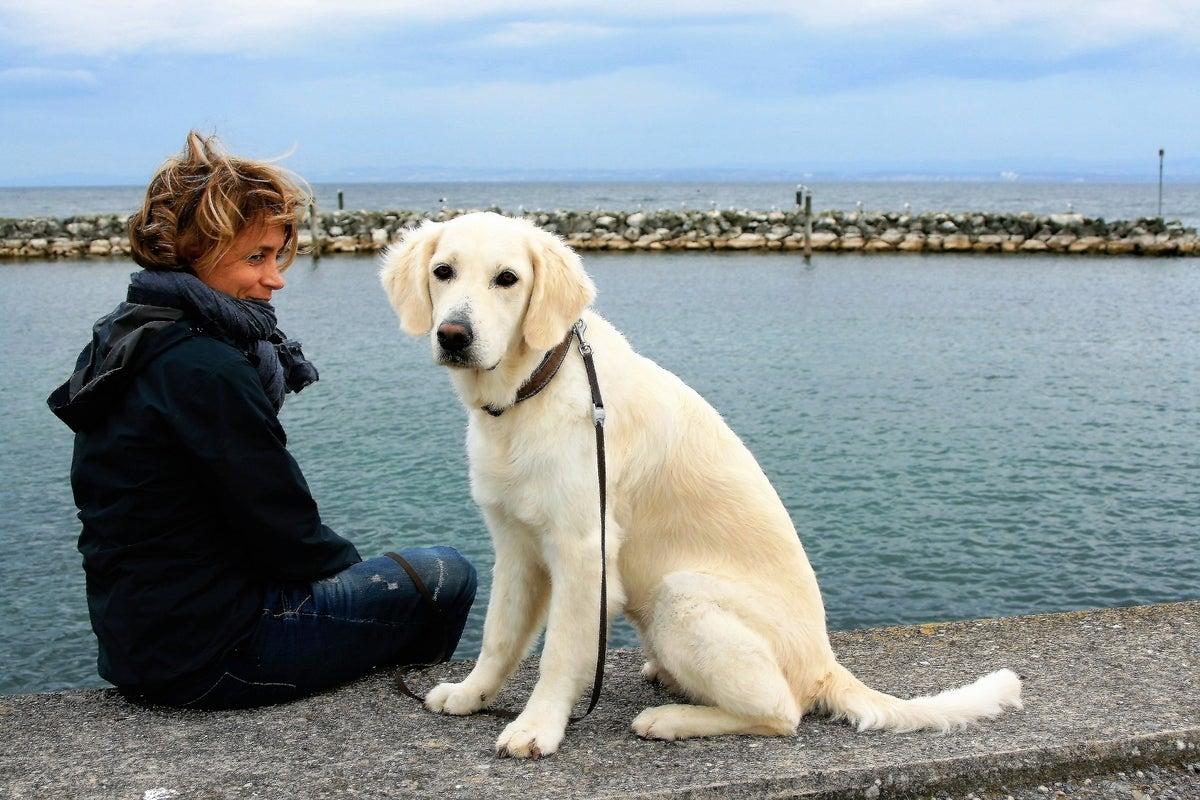 Köpek sahibi olmak kalbe iyi geliyor