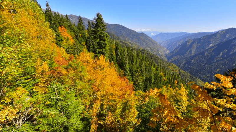 Artvin Hatila Vadisi'nde maden tehlikesi