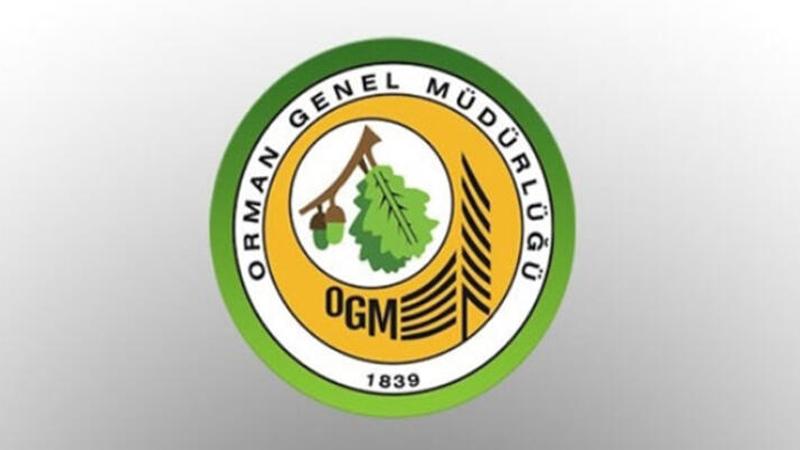 Orman yangınlarıyla mücadele kapsamında 4 bin 996 sözleşmeli personel alınacak