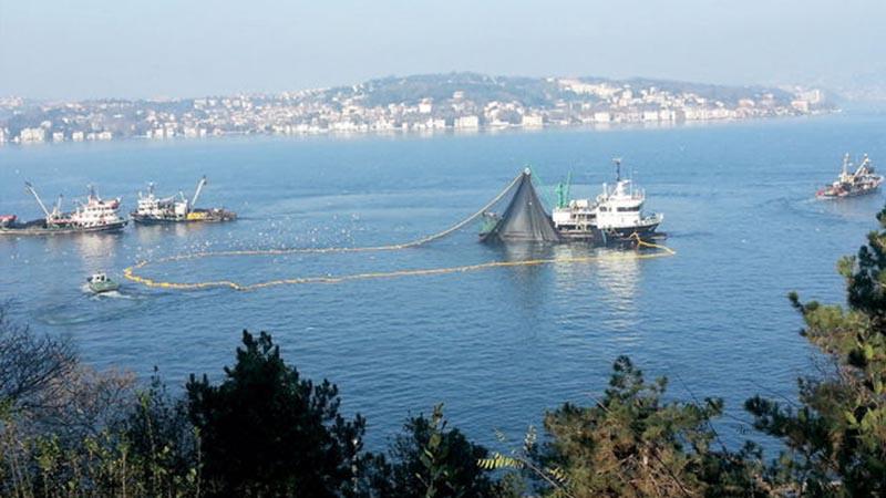 Uzmanlar uyardı: "Marmara Denizi balıksız kalabilir"