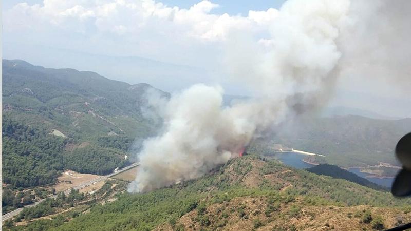 Marmaris'te orman yangını