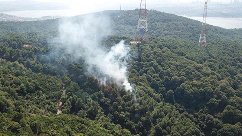 Beykoz'da orman yangını