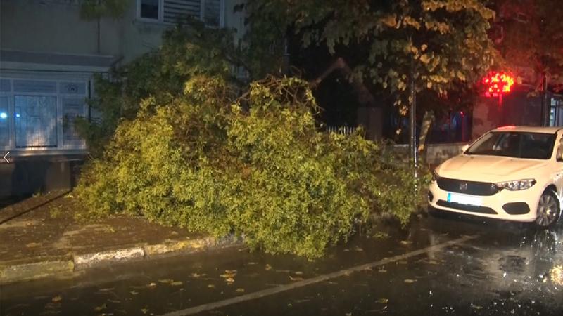 İstanbul’da gece etkili olan rüzgâr ağaçları yerinden söktü