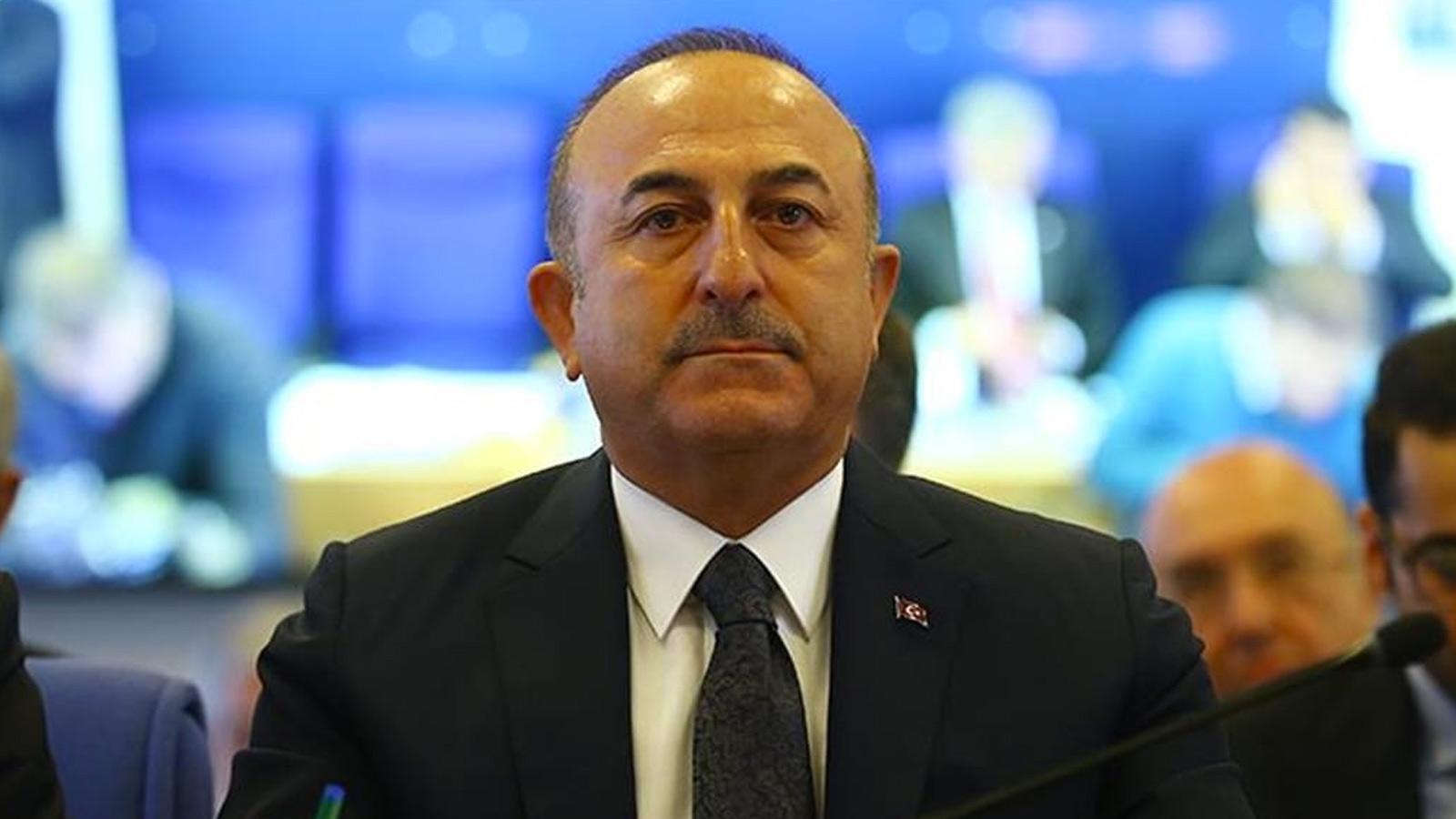 Dışişleri Bakanı Çavuşoğlu: Türkiye, 'Yurtta sulh cihanda sulh' kavramını benimsemiş bir devlettir