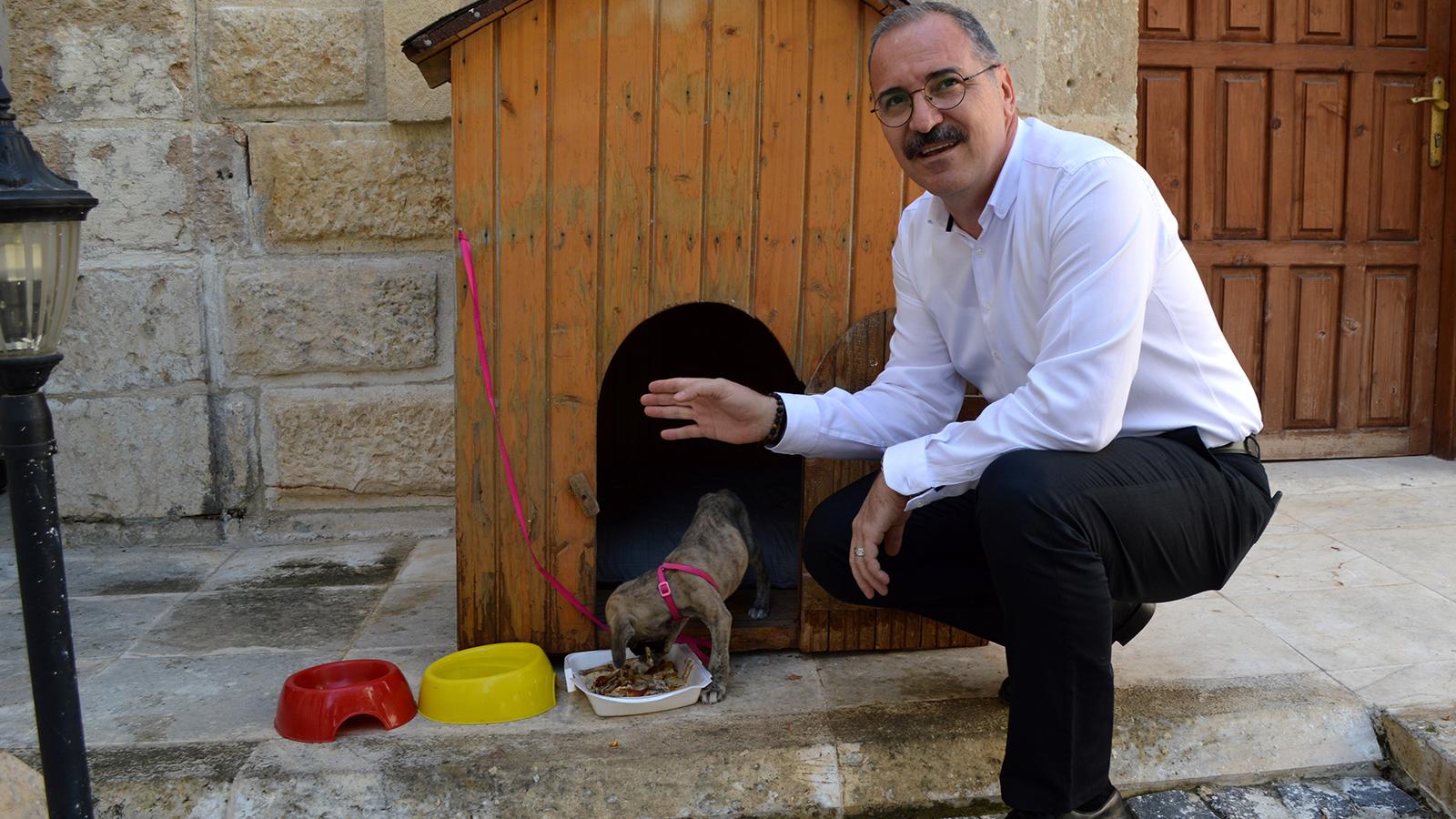 Kaymakam, ölmek üzereyken bulunan köpeği sahiplendi: Büyüyünce bizi koruyacak