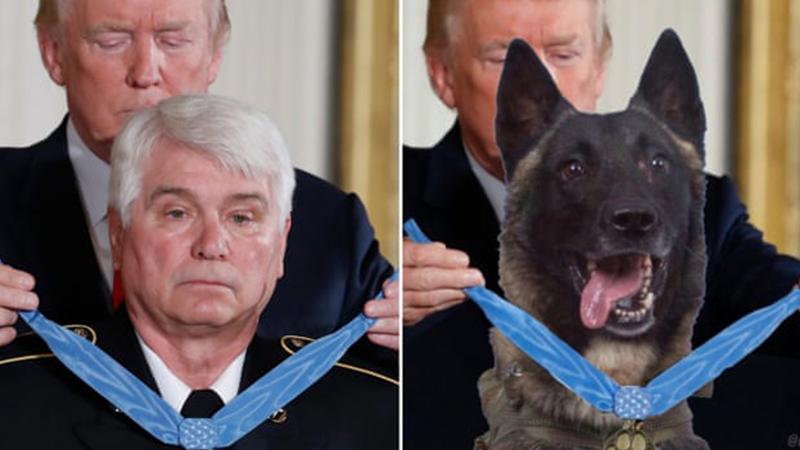 Donald Trump, Bağdadi operasyonunda görev alan köpeğe madalya taktığı sahte bir fotoğraf paylaştı