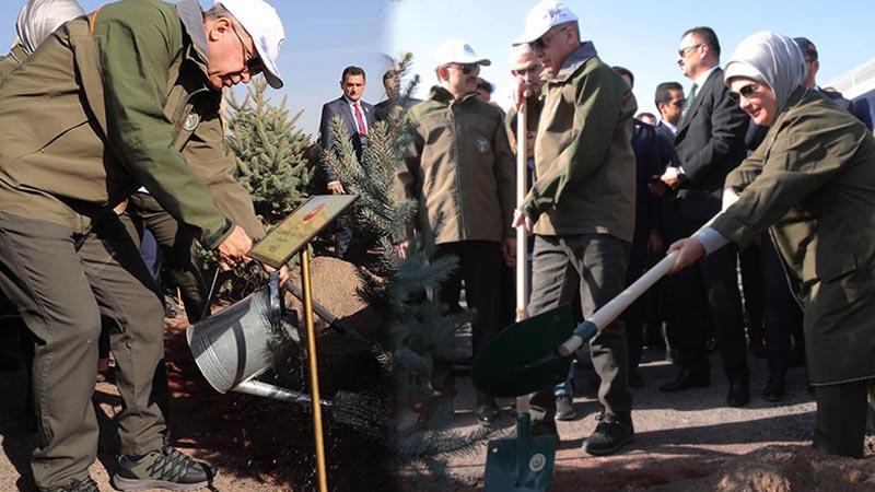 Ankara'da ilk fidanı Cumhurbaşkanı Erdoğan dikti