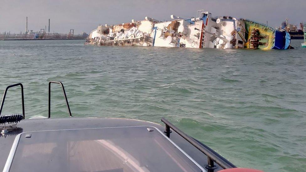 Romanya'da alabora olan gemideki 14 bini aşkın koyun öldü