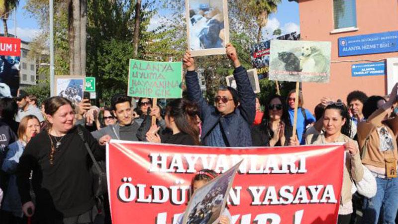 Alanya'da hayvanseverlerden protesto